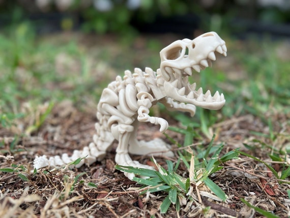 Dinosaur skeleton figures on sale