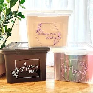 Fully Assembled & Customizable File Storage Organizer Box