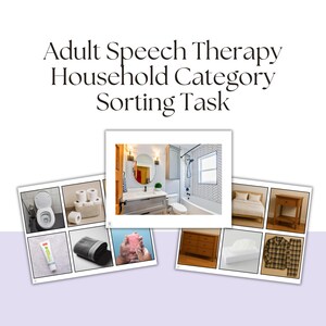 Cognitive Skills: Household Category Sorting Task