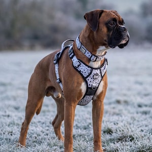 Dog Harness No Pull Adjustable – Reflective Padded Walking Harness Small to XL Dogs – Black White Beige image 2