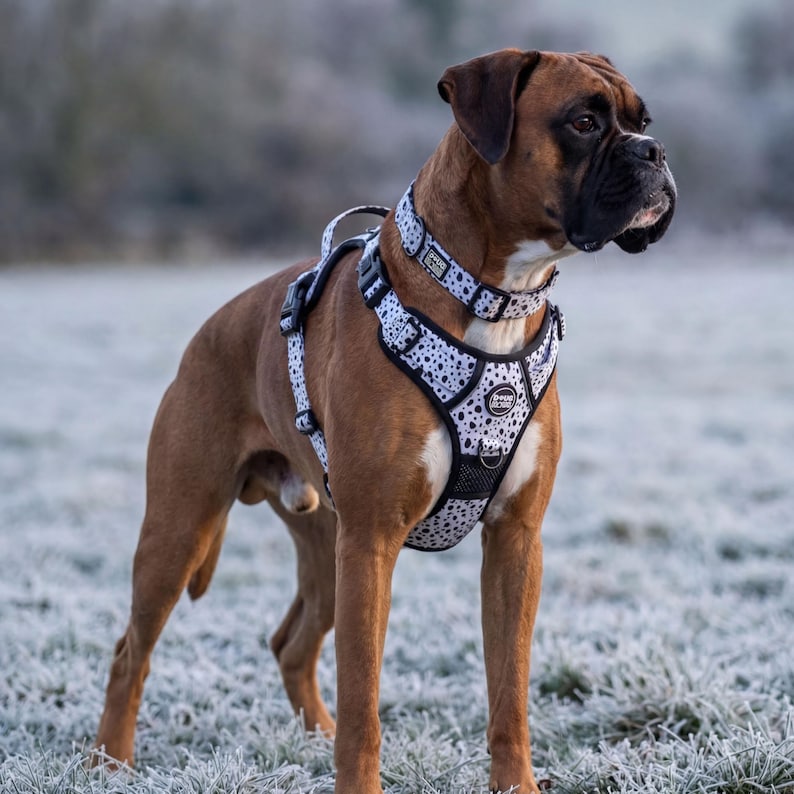 Dog Harness No Pull Adjustable – Reflective Padded Walking Harness Small to XL Dogs – Black White Beige image 2