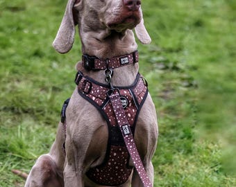 No Pull Dog Harness Set, Brown Adjustable Harness Lead Collar