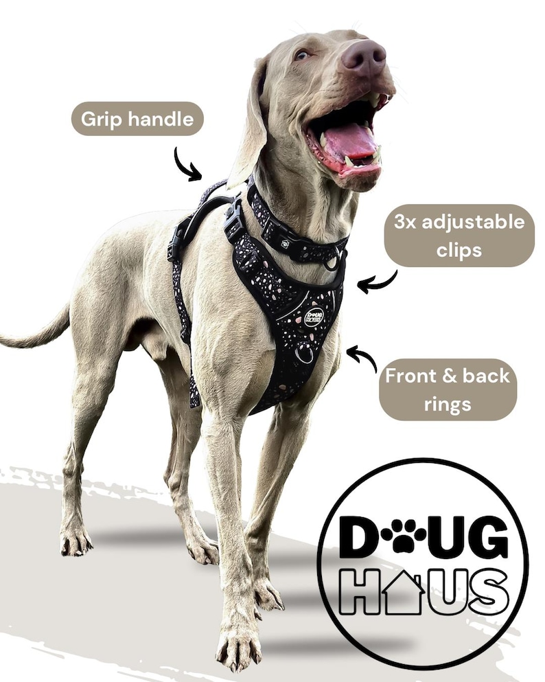 Puede incluir: Un arn&eacute;s de perro negro con un dise&ntilde;o brillante. El arn&eacute;s tiene un asa de agarre, 3 clips ajustables y anillos delanteros y traseros. El arn&eacute;s lo lleva un perro gris. El texto "D-U-G H-U-S" es visible en la imagen.