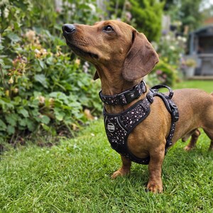 Dog Harness No Pull Adjustable – Reflective Padded Walking Harness Small to XL Dogs – Black White Beige image 3
