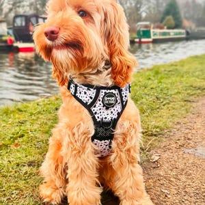 Dog Harness No Pull Adjustable – Reflective Padded Walking Harness Small to XL Dogs – Black White Beige image 14