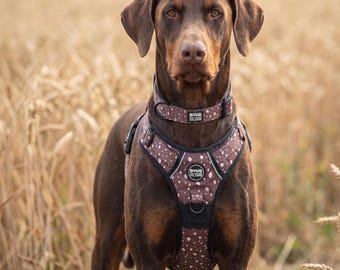 Dog Harness No Pull Adjustable – Reflective Padded Walking Harness Small to XL Dogs – Black White Beige