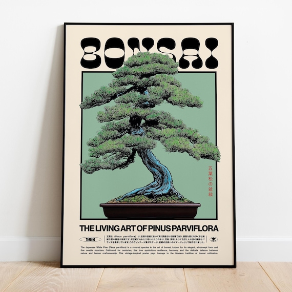Bonsai Art Print: Retro Japanese White Pine Botanical Poster - Etsy