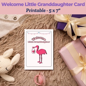 Nouvelle carte petite-fille | 5 x 7 po. Imprimable à téléchargement immédiat | carte d'arrivée de bébé fille | Carte de bienvenue rose mignonne | Message d'accueil numérique