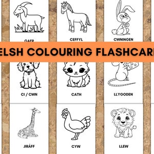 Welsh Colouring Flashcards Animals | Printable Digital Download | A4 & US Letter sizes|  Learn Welsh Vocabulary | Cymraeg | Dysgu Cymraeg |