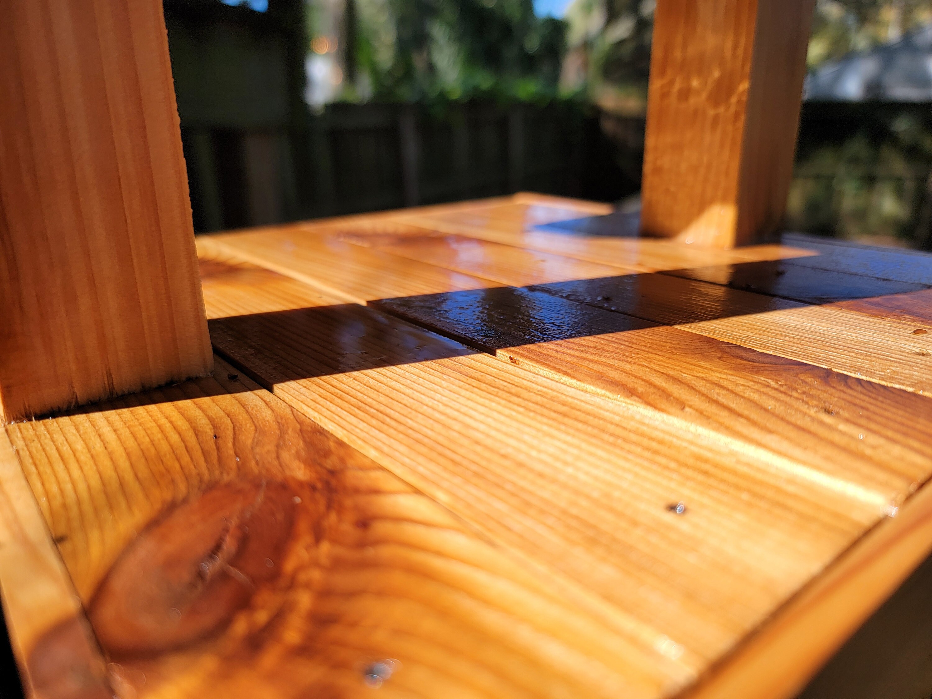 Cedar Bird House / Bird Box / Bird Feeder / Build Plan / Woodworking Etsy