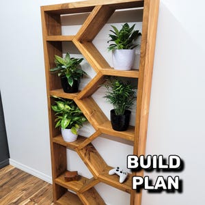 May include: Wooden geometric bookshelf with various potted plants. The bookshelf is made of light brown wood and has a unique design. The text "BUILD PLAN" is visible in the image. A video game controller is on the shelf.