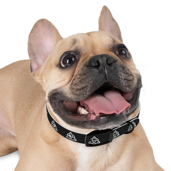 Celtic Triquetra Knot Dog Collar