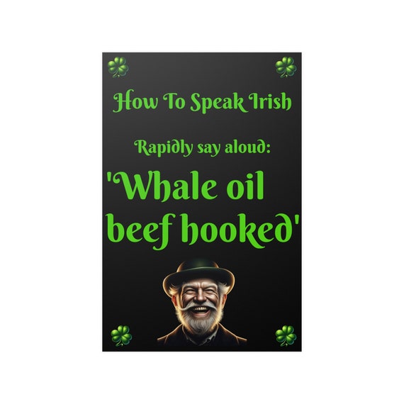 How To Speak Irish Satin Poster