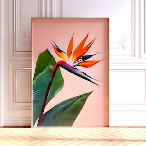 Arte mural de ave del paraíso, impresión botánica moderna de flor de strelitzia, decoración vibrante para el hogar, regalo perfecto para amantes de las plantas.