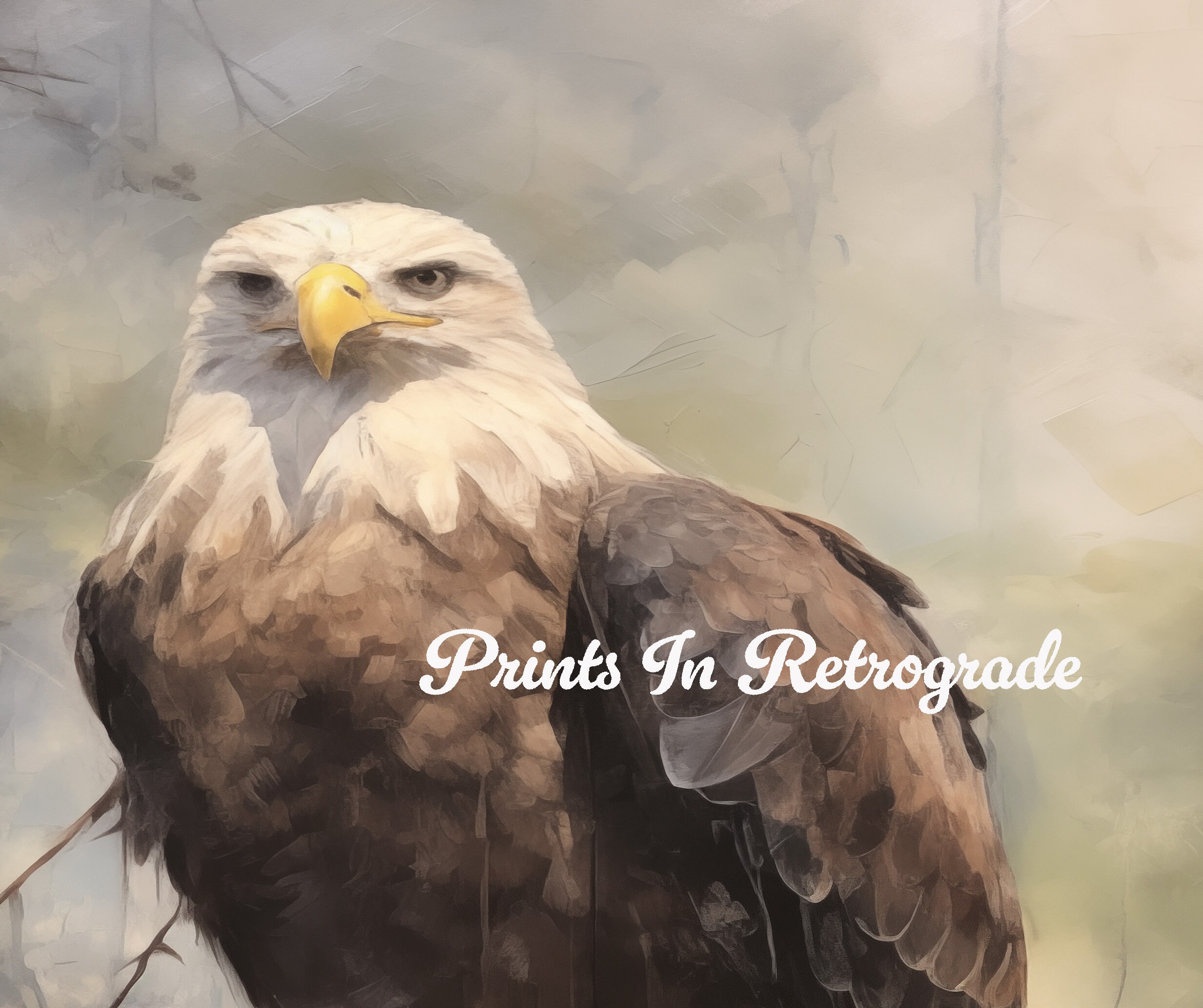 Eagle Painting - Digital Art - Oil Painting - Brush Strokes - Wildlife ...