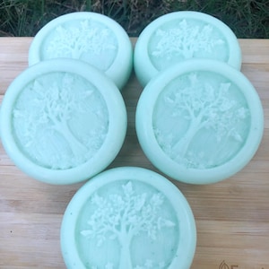 May include: Five round, light green soaps with a tree design carved into the center. The soaps are arranged on a wooden surface, with the tree design in white. The soaps have a fresh, clean appearance.