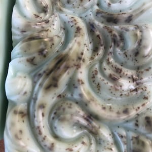 May include: A close-up of a light green bar of soap with a swirl design and brown flecks throughout.