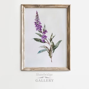 Antique Purple Flower Printable Wall Art, Vintage Botanical Digital Download, Printable Wall Art