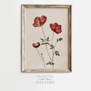 Vintage Poppy Wall Art - Instant Download Retro Print for Home Decor! Printable Wall Art