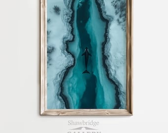 May include: An aerial photograph of a black and white orca swimming in a narrow channel of turquoise water surrounded by white ice. The image is framed in a wooden frame.