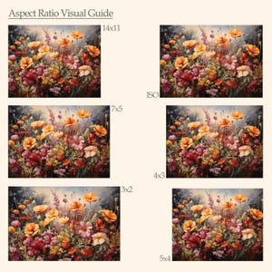 Op de afbeelding: Een visuele gids voor beeldverhoudingen, die verschillende uitsnedes van een schilderij van een bloemenveld laat zien. De verhoudingen zijn 14x11, 7x5, 4x3, 3x2 en 5x4.