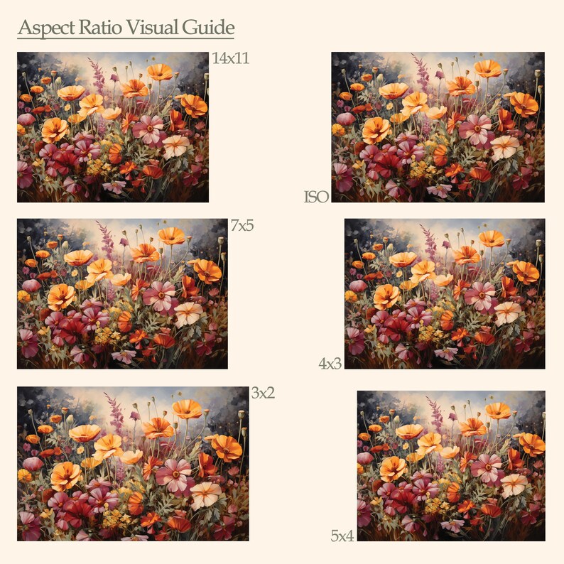 Op de afbeelding: Een visuele gids voor beeldverhoudingen, die verschillende uitsnedes van een schilderij van een bloemenveld laat zien. De verhoudingen zijn 14x11, 7x5, 4x3, 3x2 en 5x4.