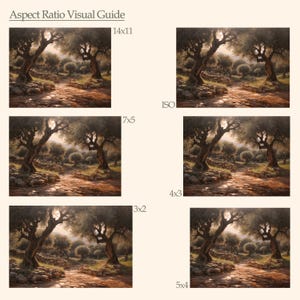 Pode incluir: Um guia visual de propor&ccedil;&otilde;es de aspecto, mostrando uma foto de um caminho atrav&eacute;s de um bosque de oliveiras com o sol brilhando atrav&eacute;s dos galhos, cortada em diferentes propor&ccedil;&otilde;es de aspecto, incluindo 14x11, 7x5, 4x3, 3x2 e 5x4.