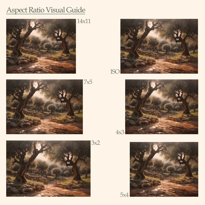 Pode incluir: Um guia visual de propor&ccedil;&otilde;es de aspecto, mostrando uma foto de um caminho atrav&eacute;s de um bosque de oliveiras com o sol brilhando atrav&eacute;s dos galhos, cortada em diferentes propor&ccedil;&otilde;es de aspecto, incluindo 14x11, 7x5, 4x3, 3x2 e 5x4.