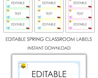 Editable Spring Classroom Labels, Butterfly Bee Bug Theme