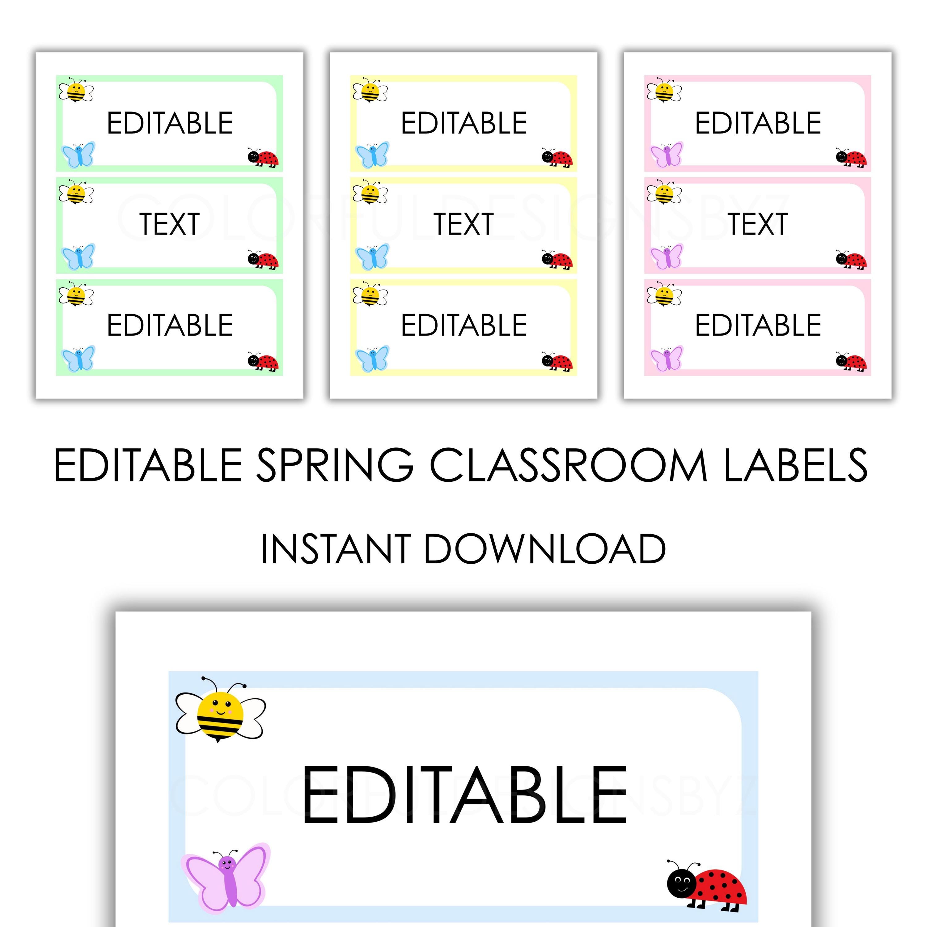 Editable Spring Classroom Labels, Butterfly Bee Bug Theme - Etsy