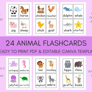 Animal Flashcards for Kids | 24 Printable Animal Cards | Editable Canva Template | Farm, Wild, Sea Animals | Preschool, Homeschool Learning