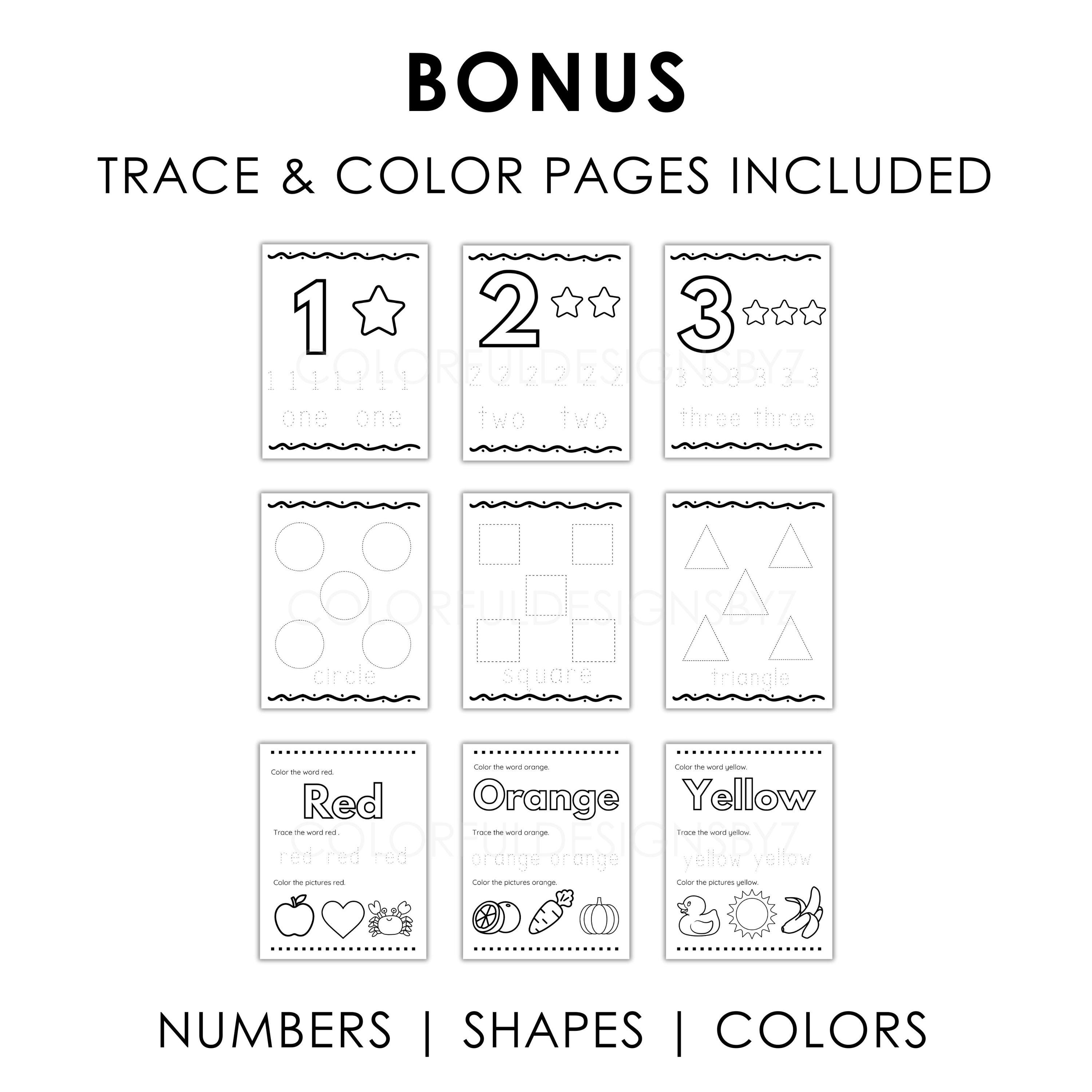 Mega Rainbow Classroom Bundle | Printable Alphabet Posters, Numbers ...