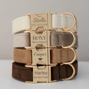 May include: Four dog collars stacked on top of each other. The collars are made of brown velvet with gold metal buckles. Each buckle has a personalised name engraved on it. The names are Stella, Roxy, Cooper, and Harley. The collar for Stella also has a phone number engraved on it. The collar for Roxy has the word "Microchipped" engraved on it. The collar for Cooper has a small heart engraved on it. The collar for Harley has the words "Do Not Feed" engraved on it.