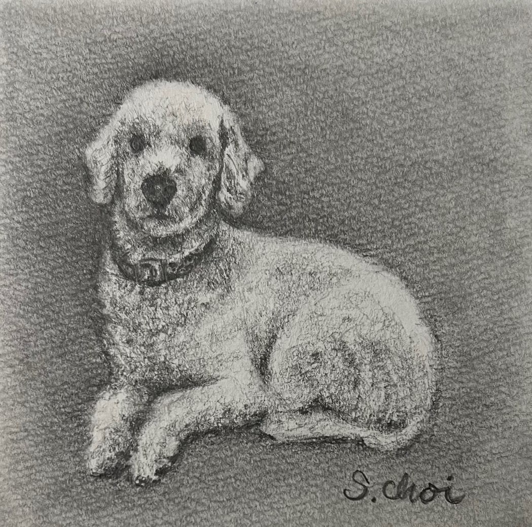 Custom Hand Drawn Pet Portrait - Graphite Drawing From Photo - Perfect ...