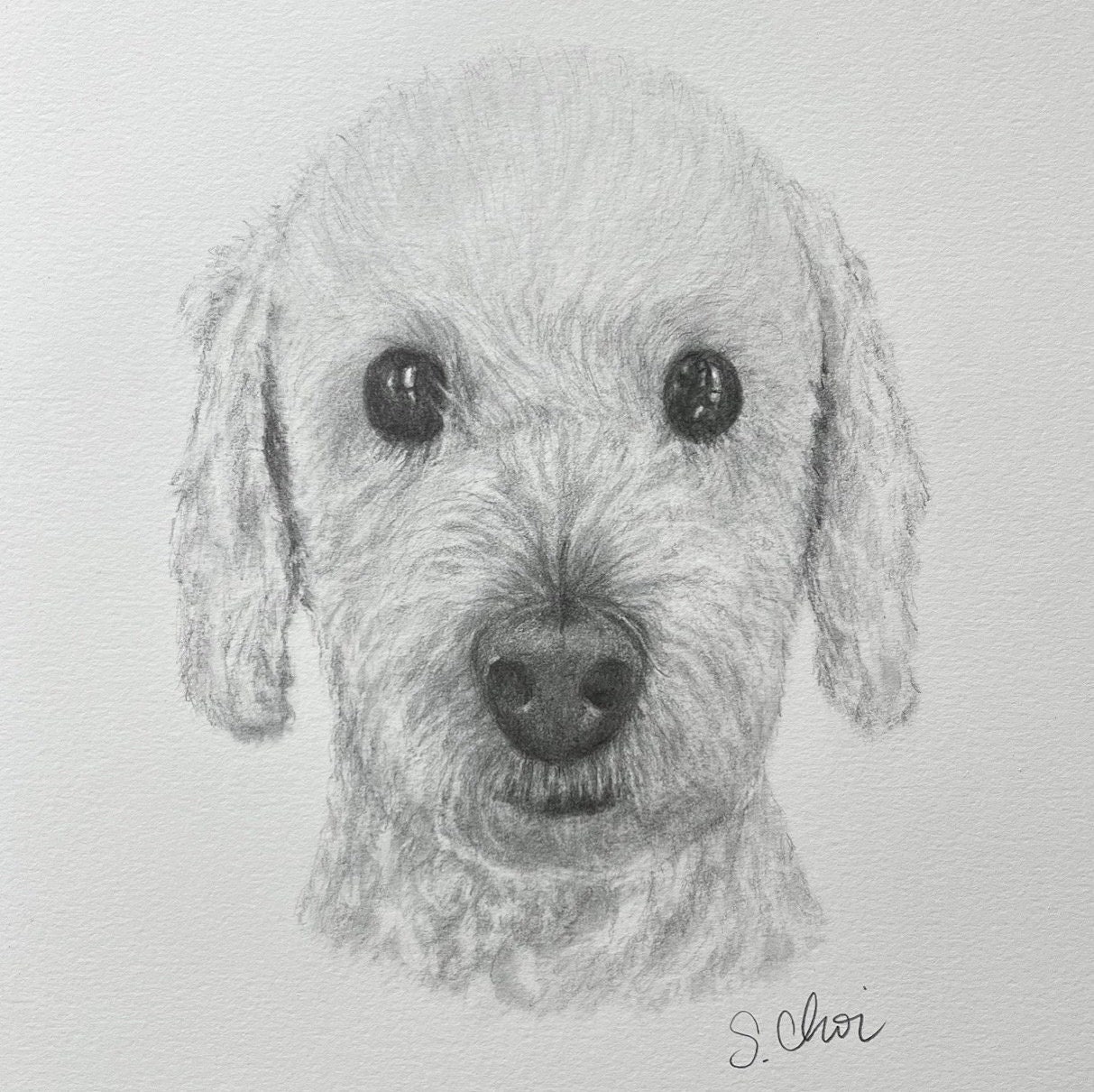 Custom Hand Drawn Pet Portrait - Graphite Drawing From Photo - Perfect ...