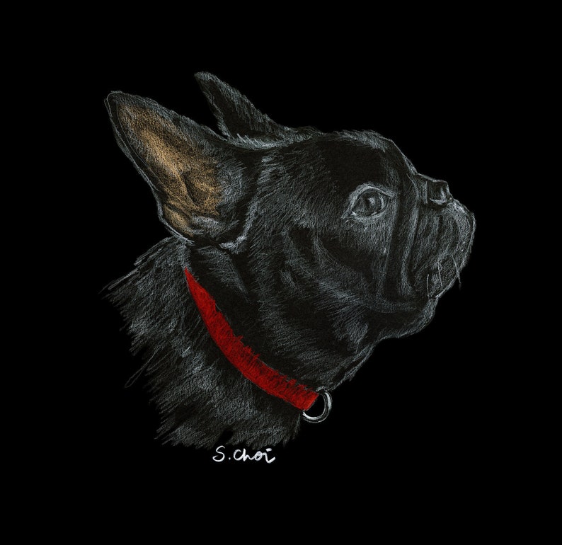 Custom Hand Drawn Pet Portrait - Graphite Drawing From Photo - Perfect ...