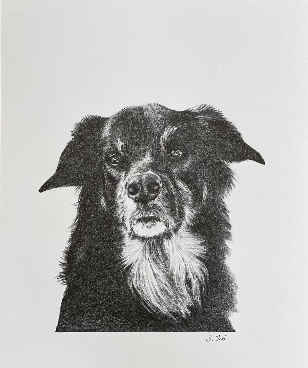 Custom Hand Drawn Pet Portrait - Graphite Drawing From Photo - Perfect ...