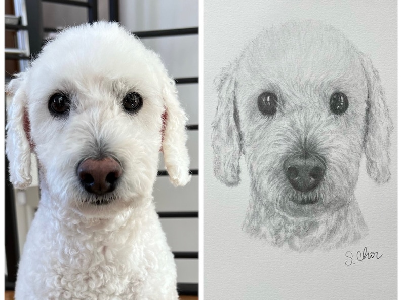 Custom Hand Drawn Pet Portrait - Graphite Drawing From Photo - Perfect ...