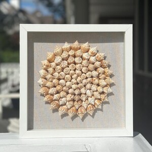 Seashell Shadowbox- 85+ Authentic Sanibel seashells