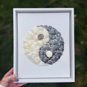 Yin Yang Seashell Art | Handmade Shell Wall Decor | Coastal Zen Home Decor | Natural Shell Artwork in Wooden Frame