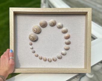 May include: A framed artwork featuring a circular arrangement of seashells. The shells vary in size and are arranged on a light beige fabric background. The frame is made of light-colored wood, creating a natural, coastal aesthetic.