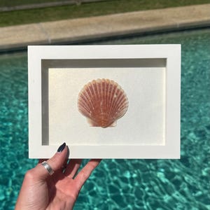 Shadowbox artisanal en forme de coquille Saint-Jacques – Art mural côtier