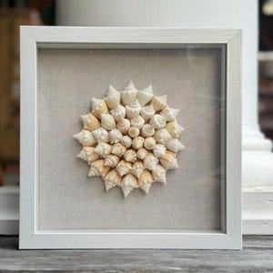 Op de afbeelding: Een wit ingelijst beeld met een beige linnen achtergrond met een cirkelvormige opstelling van schelpen in tinten wit en beige.