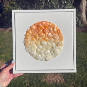 May include: A framed artwork featuring a circular design made of small, iridescent seashells. The shells transition in color from a warm orange at the top to a creamy white at the bottom, creating a gradient effect. The artwork is set against a white background.