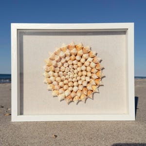 Könnte beinhalten: Ein gerahmtes Kunstwerk mit einer kreisförmigen Anordnung aus kleinen, beigefarbenen Muscheln. Die Muscheln sind auf einem hellen Stoffhintergrund in einem weißen Holzrahmen angeordnet. Das Kunstwerk wird auf Sand präsentiert, mit blauem Himmel im Hintergrund.