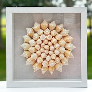 Seashell Shadowbox - Authentic Sanibel Shells