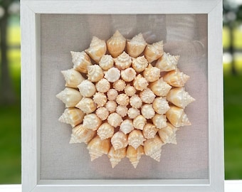Seashell Shadowbox - Authentic Sanibel Shells