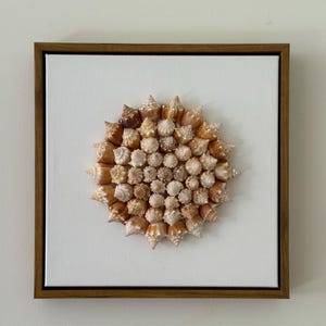 Sunburst Spiral Seashell Wall Art | Handmade Shell Flower Decor | Beachy Boho Home Accent | Natural Coastal Wall Hanging