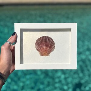 Shadowbox artisanal en forme de coquille Saint-Jacques – Art mural côtier