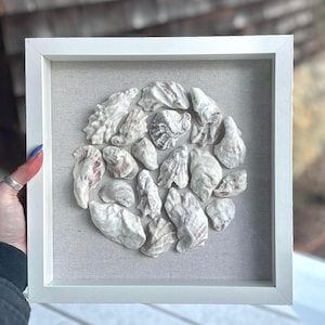 Oyster Shell Shadowbox